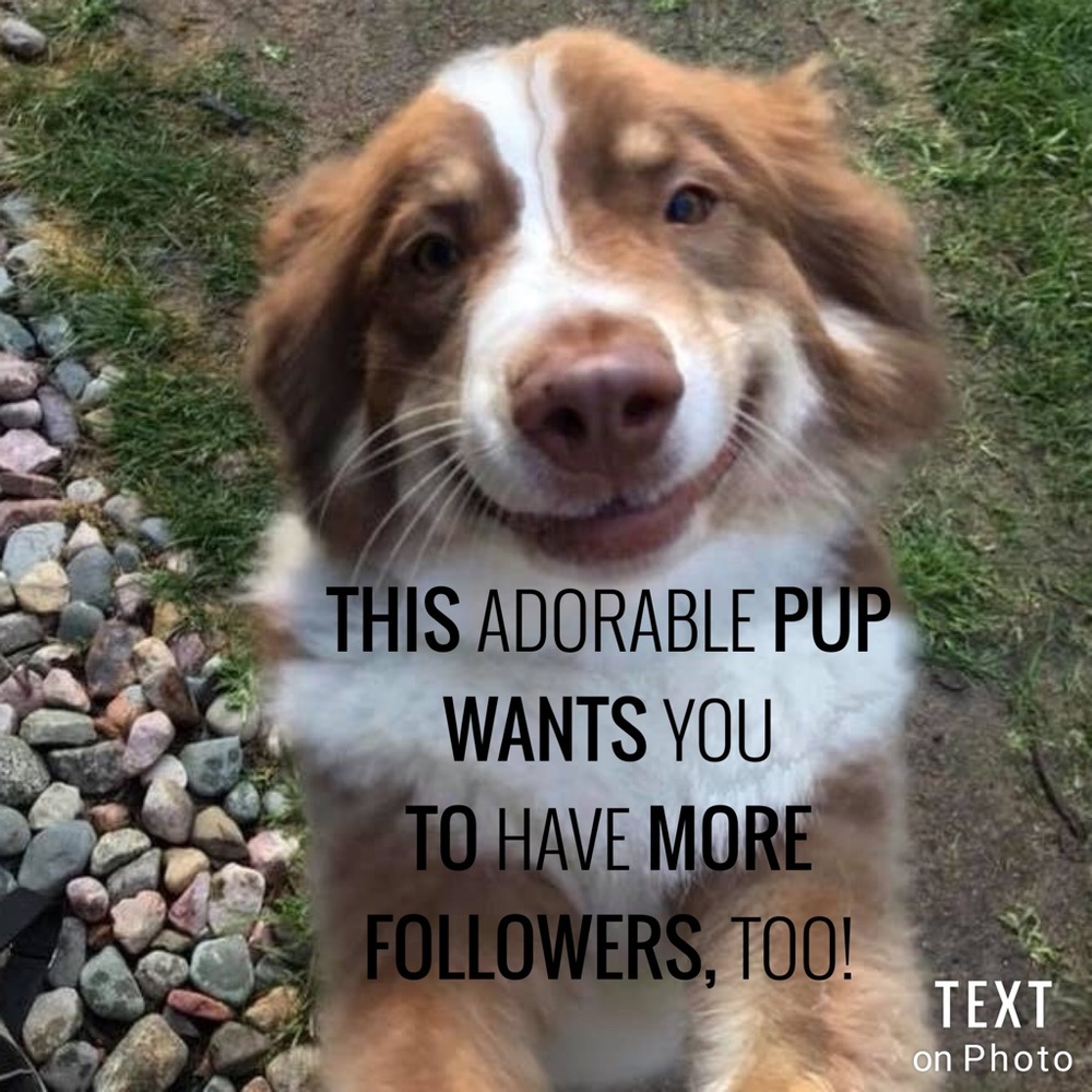 💜 Follow me to 250K! 💗 - Picture 7 of 12